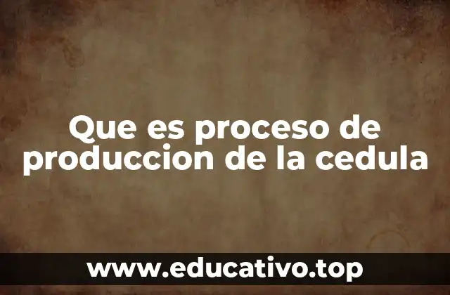 El papel de los materiales en la producción de la cédula