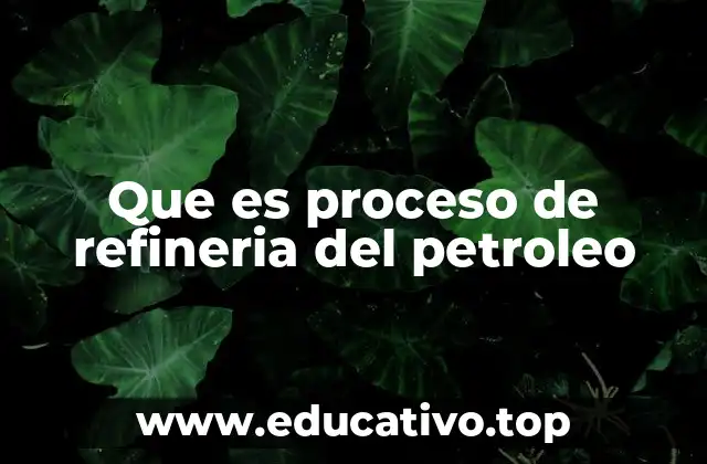 Que es proceso de refineria del petroleo