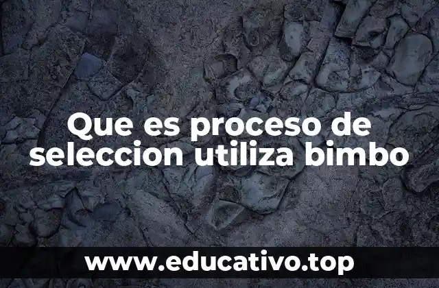 Que es proceso de seleccion utiliza bimbo