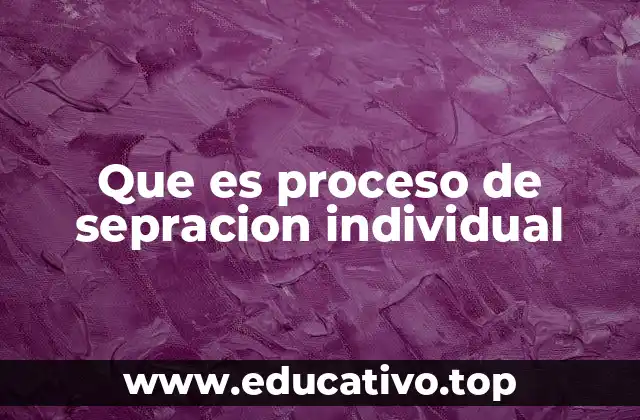 Que es proceso de sepracion individual