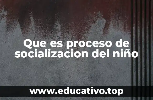 Que es proceso de socializacion del niño
