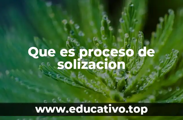 Que es proceso de solizacion