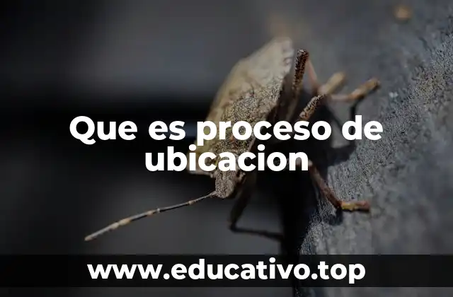 Que es proceso de ubicacion