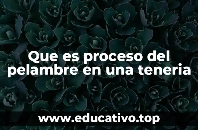 Que es proceso del pelambre en una teneria