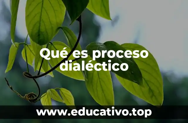 Qué es proceso dialéctico