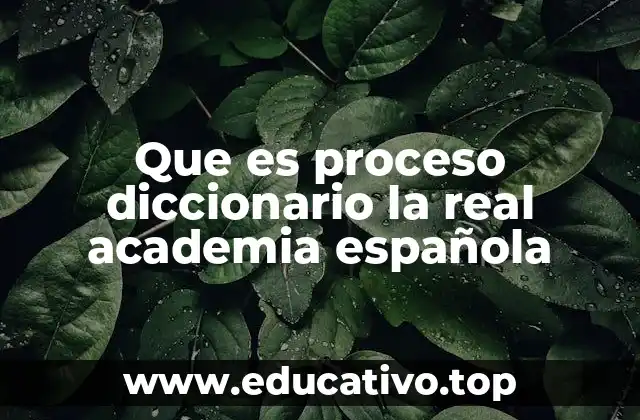 Que es proceso diccionario la real academia española