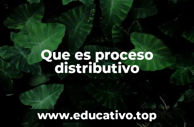 Que es proceso distributivo