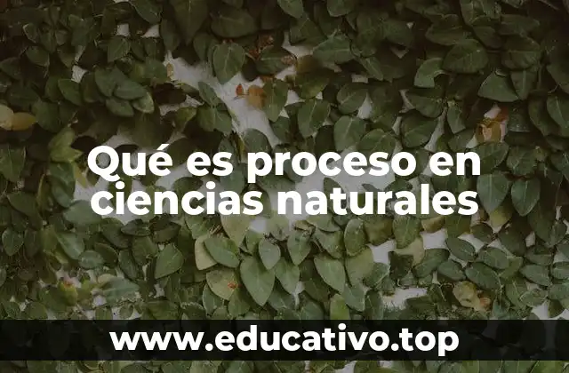 Qué es proceso en ciencias naturales