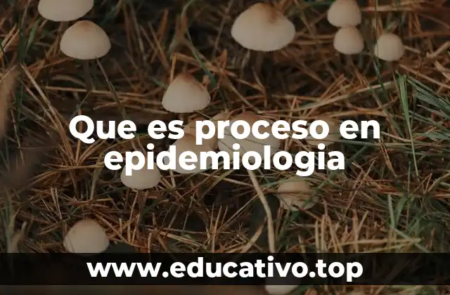 Que es proceso en epidemiologia