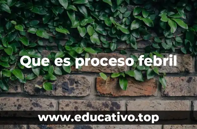 Cómo actúa el cuerpo durante un proceso febril