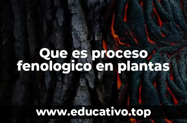 Que es proceso fenologico en plantas