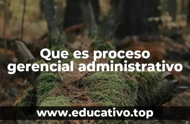 Que es proceso gerencial administrativo