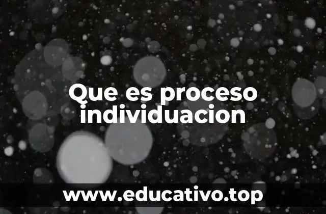 Que es proceso individuacion