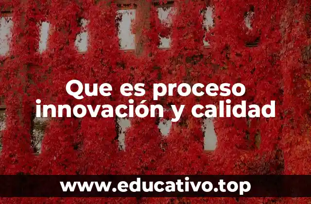 Que es proceso innovación y calidad