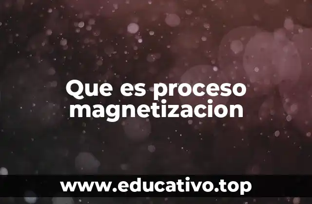 Que es proceso magnetizacion