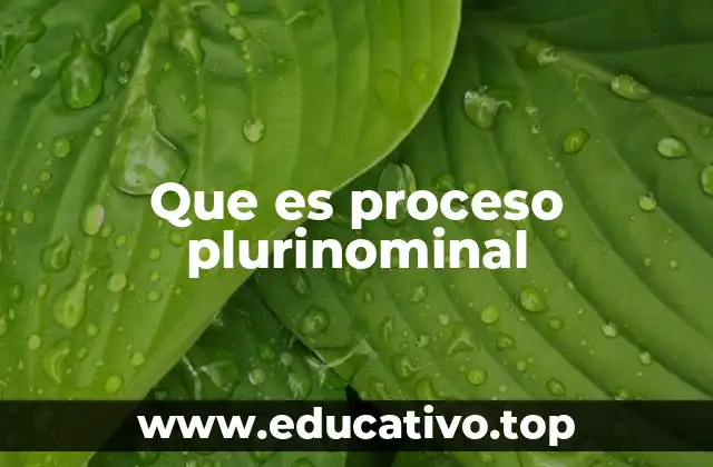 Que es proceso plurinominal