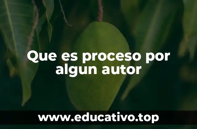 Que es proceso por algun autor