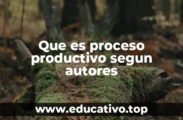 Que es proceso productivo segun autores