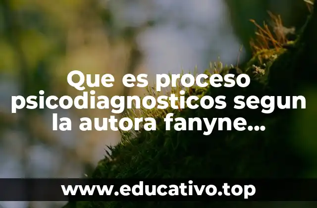 Que es proceso psicodiagnosticos segun la autora fanyne esquivel