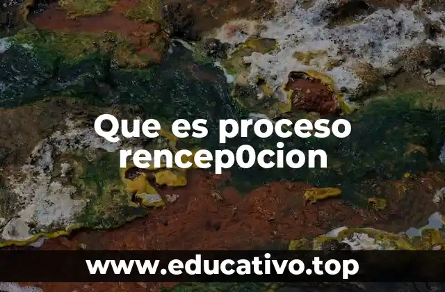 Que es proceso rencep0cion