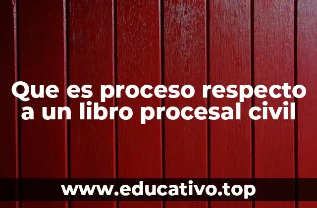 Que es proceso respecto a un libro procesal civil