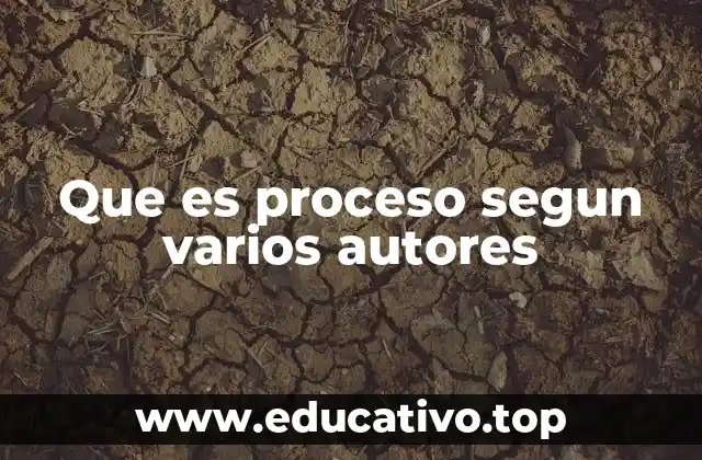 Que es proceso segun varios autores