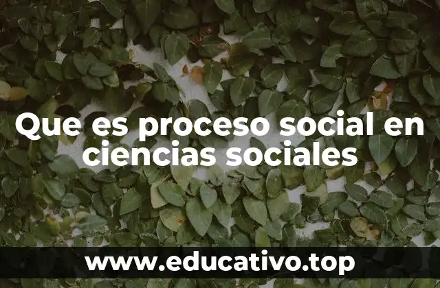 Que es proceso social en ciencias sociales