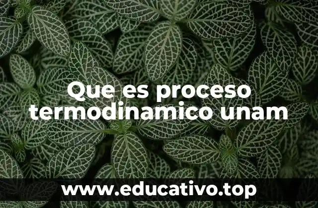 Que es proceso termodinamico unam