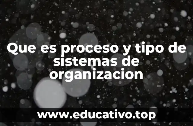 Que es proceso y tipo de sistemas de organizacion