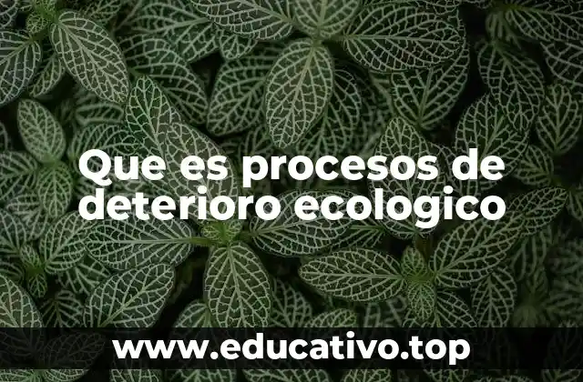 Que es procesos de deterioro ecologico