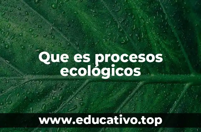 Que es procesos ecológicos