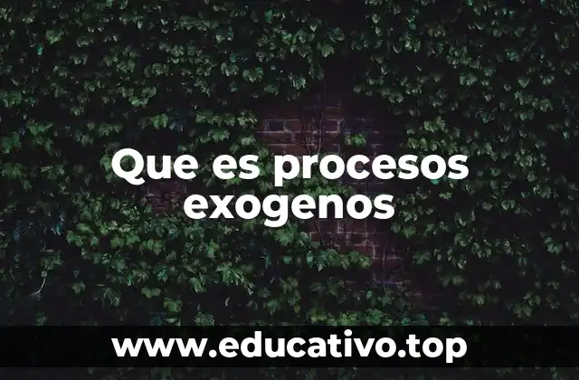 Que es procesos exogenos