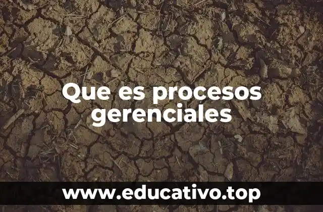 Que es procesos gerenciales