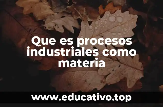 Que es procesos industriales como materia