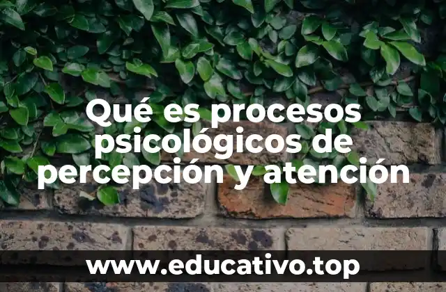 Qué es procesos psicológicos de percepción y atención