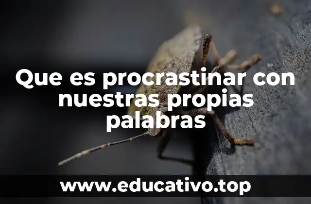 Que es procrastinar con nuestras propias palabras