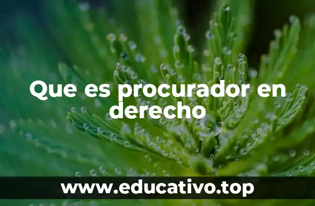 Que es procurador en derecho