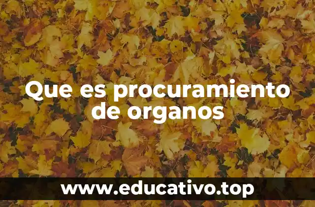 Que es procuramiento de organos