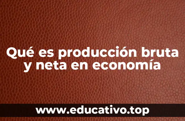 Qué es producción bruta y neta en economía