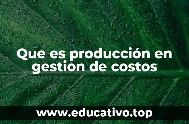 Que es producción en gestion de costos