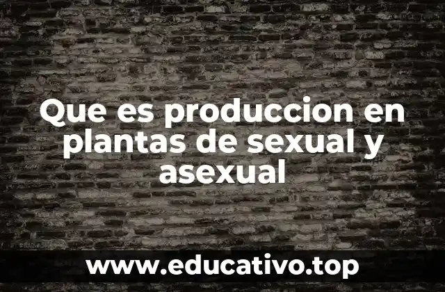 Que es produccion en plantas de sexual y asexual