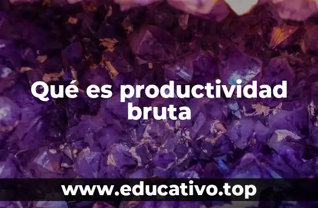 Qué es productividad bruta