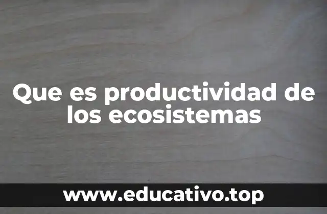 Que es productividad de los ecosistemas