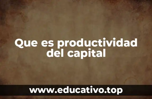 Que es productividad del capital
