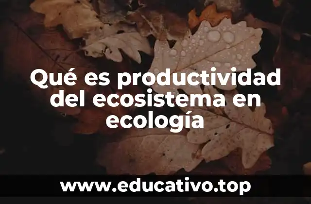 Qué es productividad del ecosistema en ecología