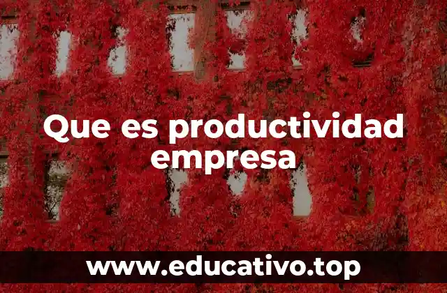 Que es productividad empresa