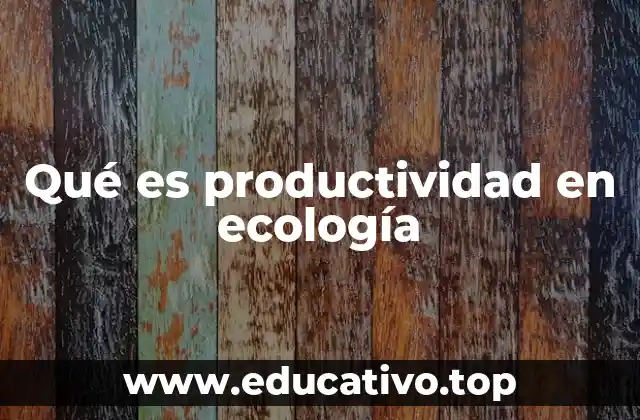 Qué es productividad en ecología