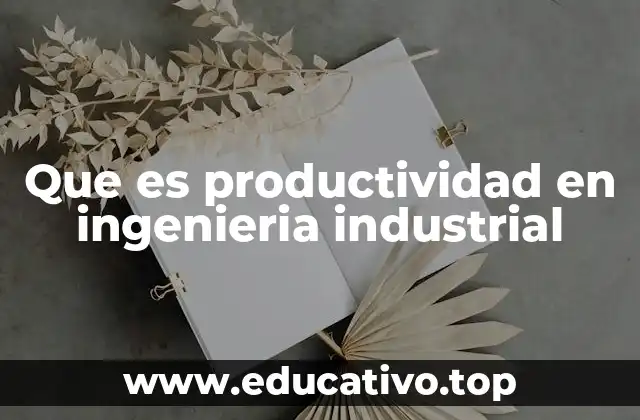 Que es productividad en ingenieria industrial