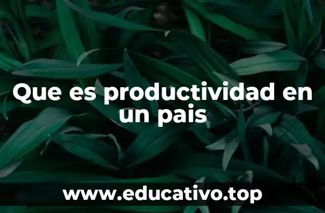Que es productividad en un pais