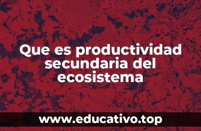 Que es productividad secundaria del ecosistema